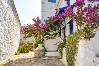 Entdecken Sie die charmanten Gassen von Skopelos, die mit ihrem traditionellen Flair und der malerischen Architektur verzaubern. 