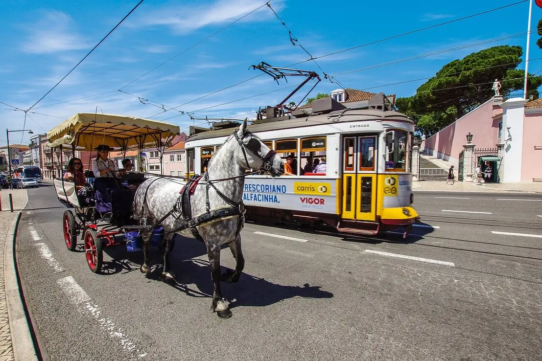 In Lissabon erwartet Sie ein einzigartiges Fortbewegungserlebnis, das die charmante Atmosphäre der Stadt perfekt einfängt. Die berühmten Straßenbahnen, insbesondere die ikonische Linie 28, schlängeln sich durch die engen Gassen der Altstadt und bieten atemberaubende Ausblicke auf die historischen Gebäude und malerischen Plätze.