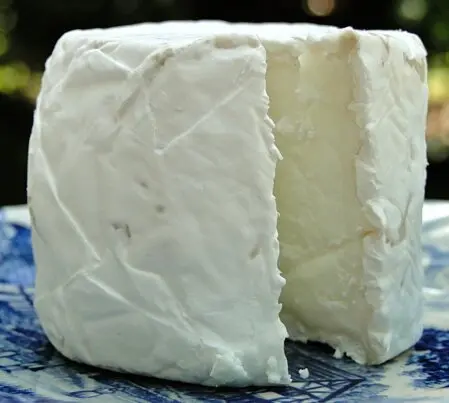 Die Kanarischen Inseln sind nicht nur für ihre atemberaubenden Landschaften und milden Temperaturen bekannt, sondern auch für ihren exquisiten Ziegenkäse, der aus hochwertiger Ziegenmilch hergestellt wird.
